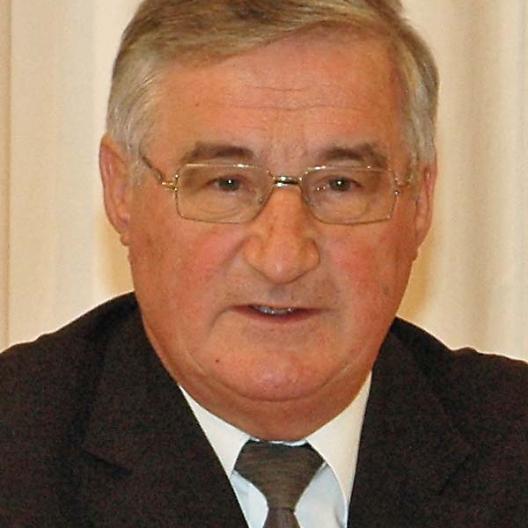 Prof. Alfred Hierold