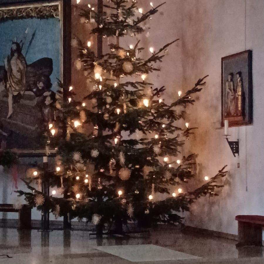 Roth_Christbaum