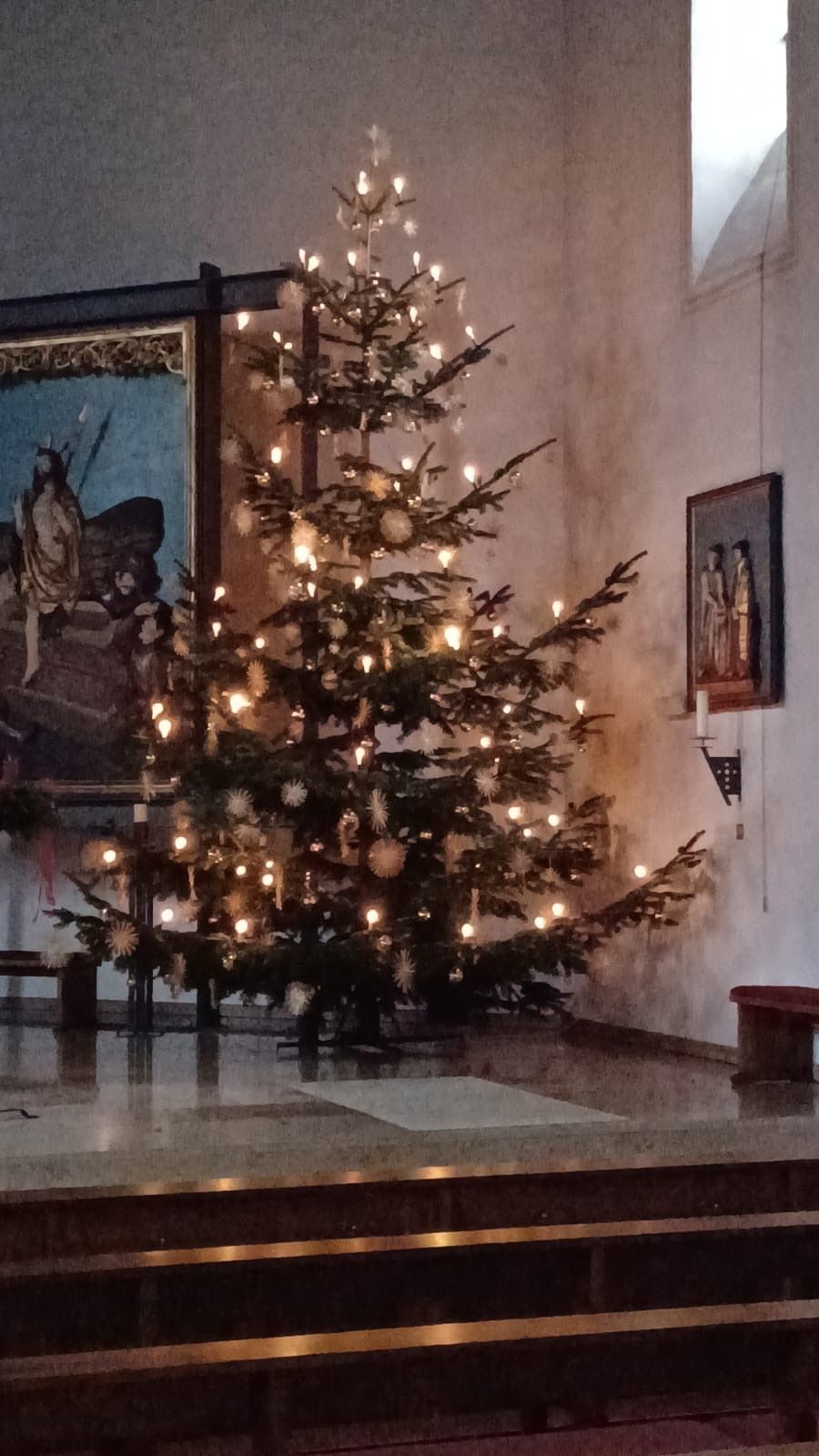 Roth_Christbaum